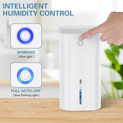 Portable Dehumidifier With Basic Air Filter